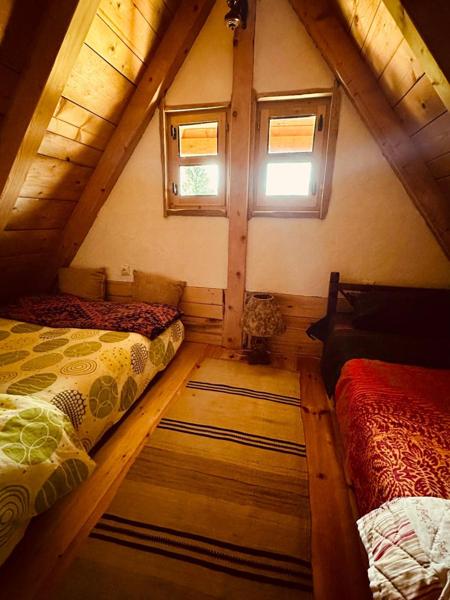 Mountain Story Apartment Žabljak Zewnętrze zdjęcie