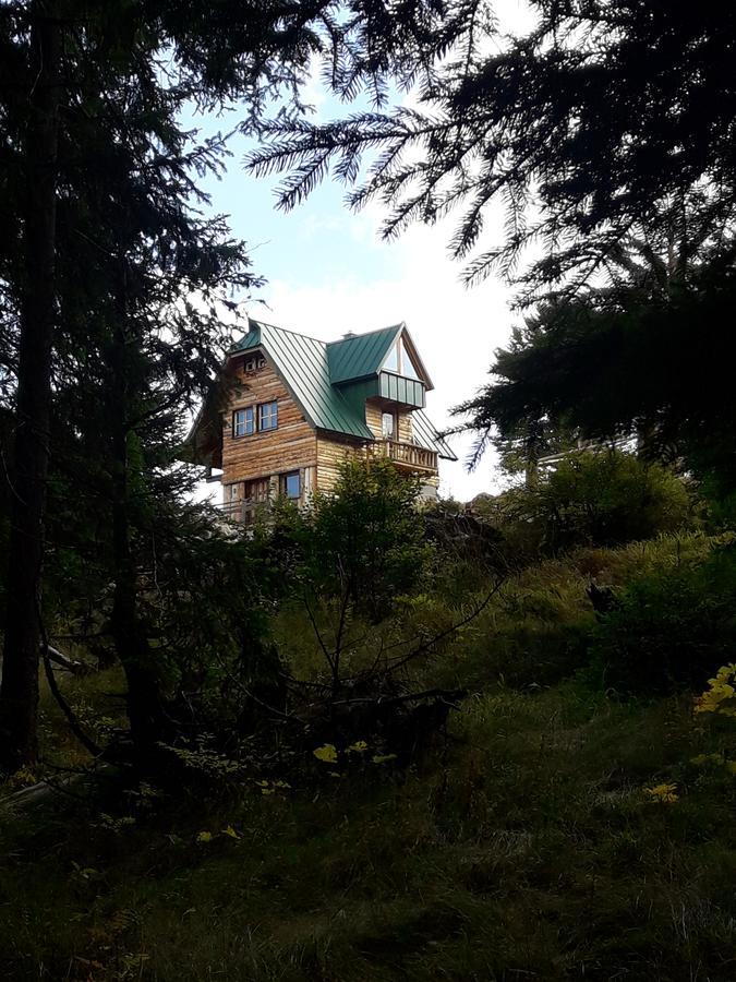 Mountain Story Apartment Žabljak Zewnętrze zdjęcie