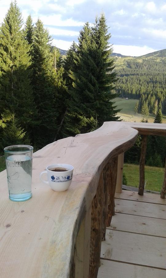 Mountain Story Apartment Žabljak Zewnętrze zdjęcie