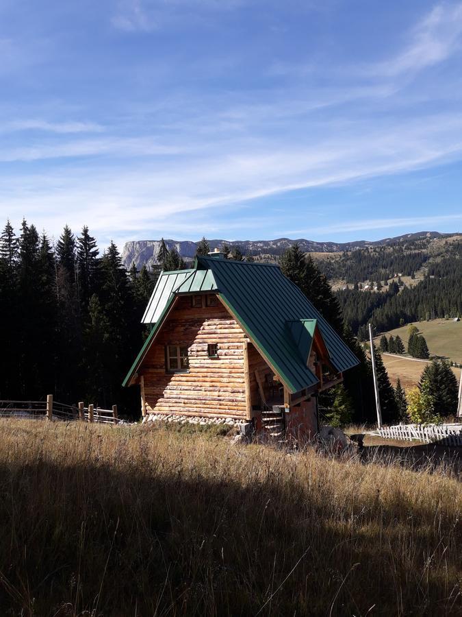 Mountain Story Apartment Žabljak Zewnętrze zdjęcie